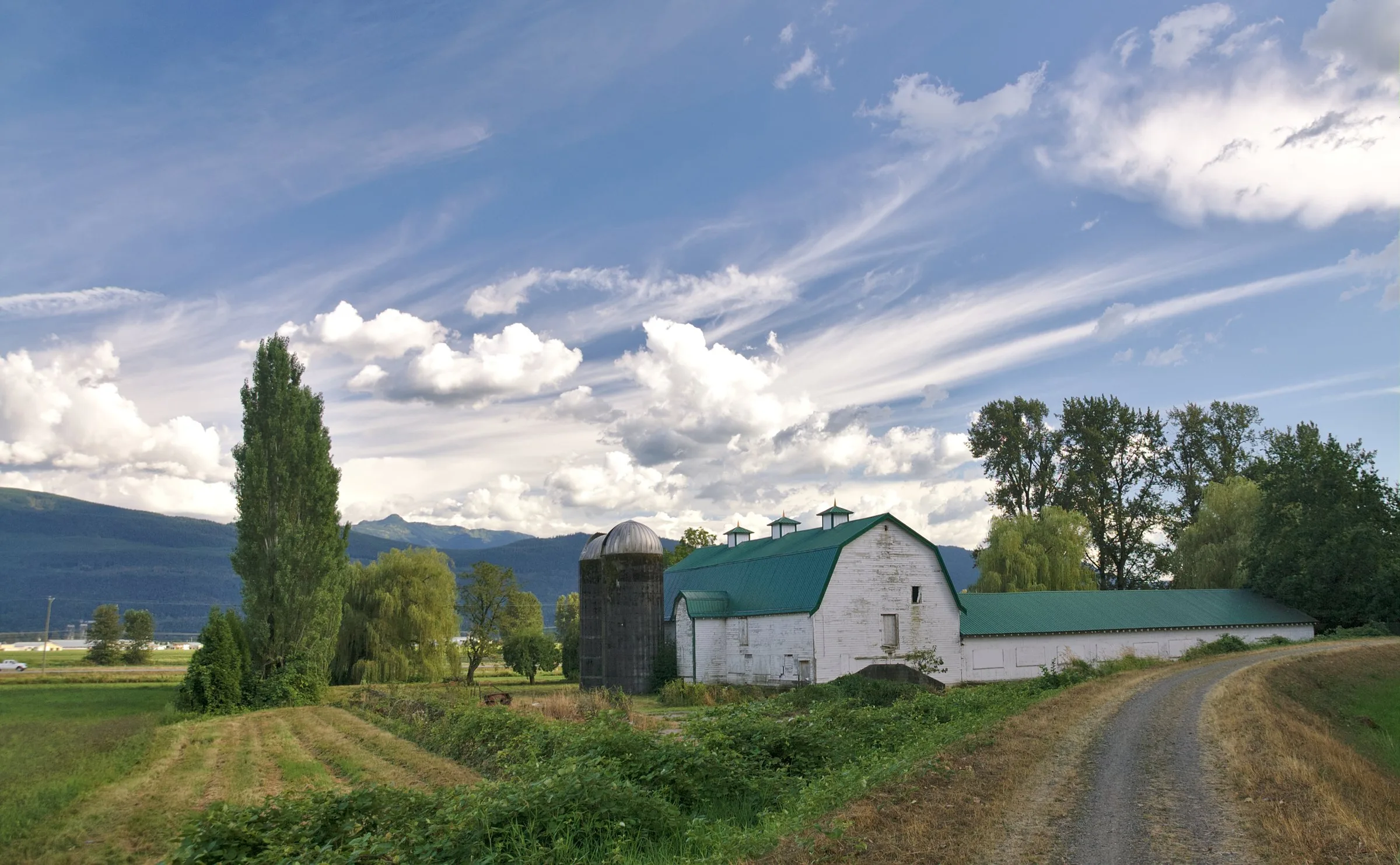 A white barn with a green roof and a silo beside farm fields with mountains and clouds behind in Abbotsford.